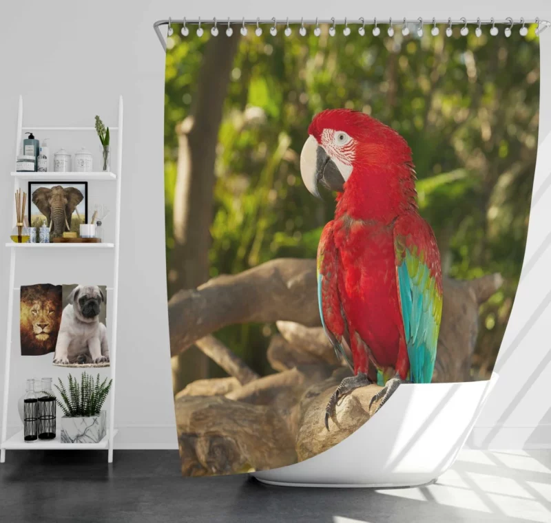 Macaw Colorful Splendor Parrot Delight Shower Curtain