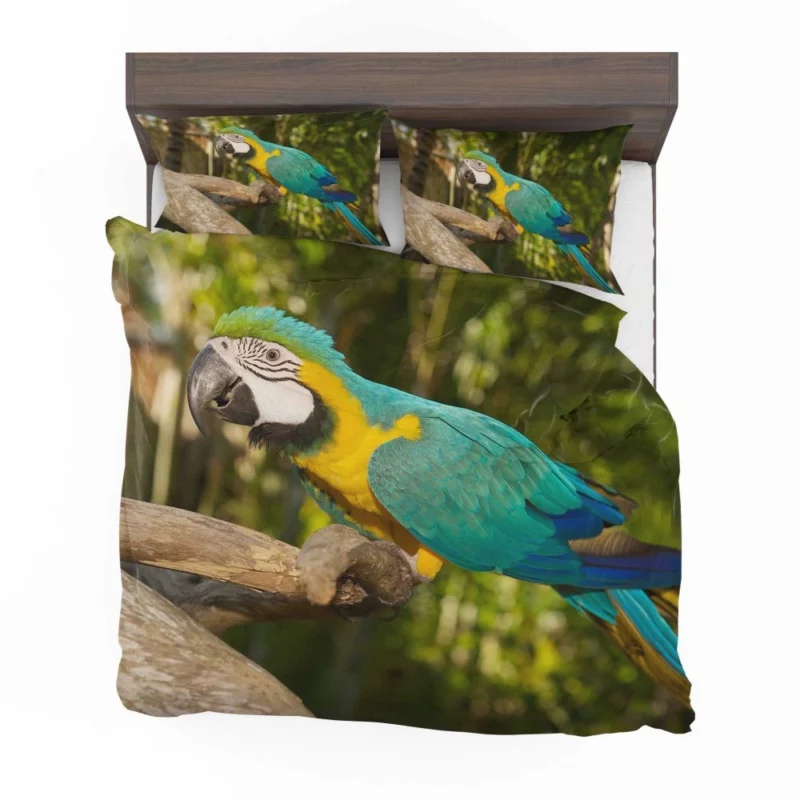 Macaw Tropical Soiree Aerial Fiesta Bedding Set 1