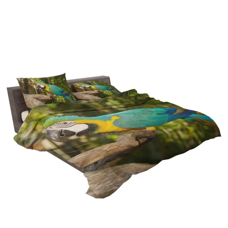 Macaw Tropical Soiree Aerial Fiesta Bedding Set 2