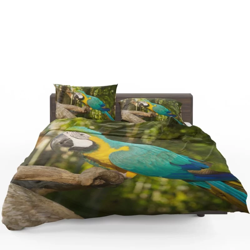 Macaw Tropical Soiree Aerial Fiesta Bedding Set