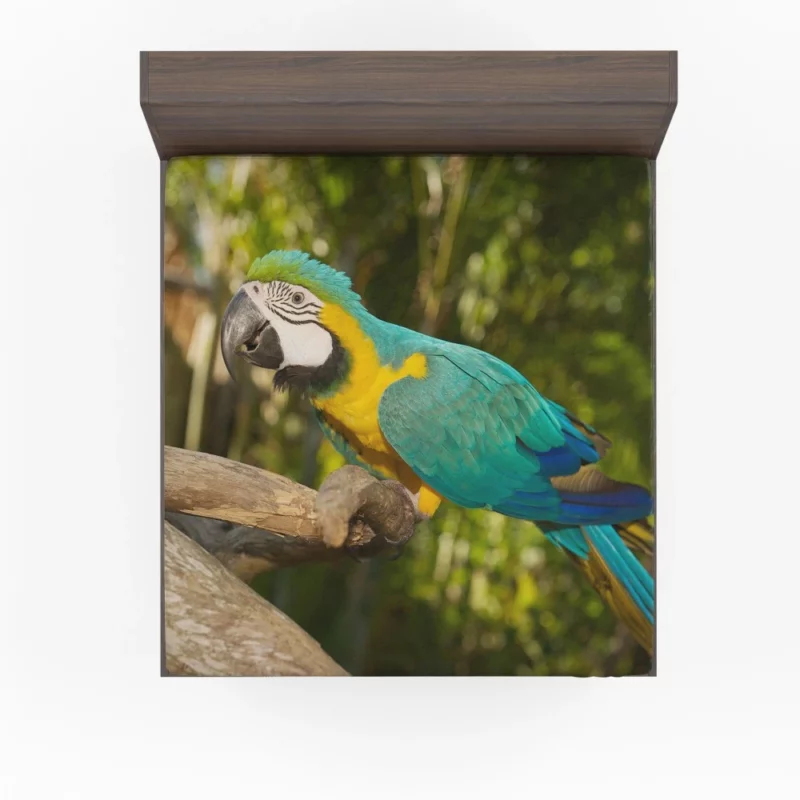 Macaw Tropical Soiree Aerial Fiesta Fitted Sheet 1