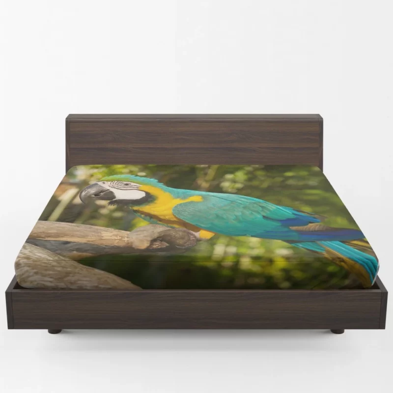 Macaw Tropical Soiree Aerial Fiesta Fitted Sheet