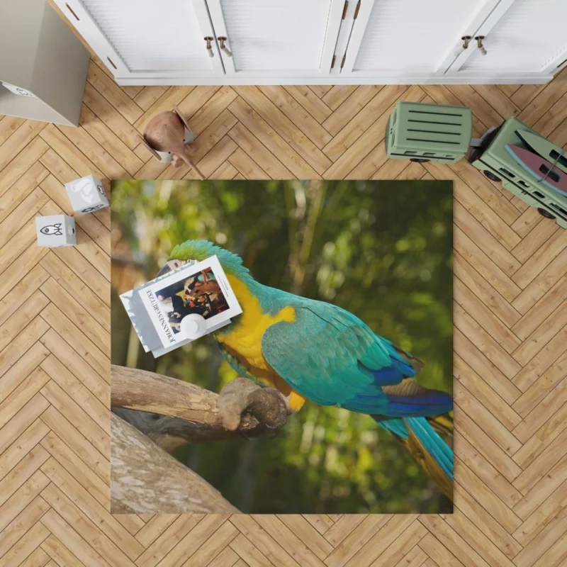 Macaw Tropical Soiree Aerial Fiesta Rug