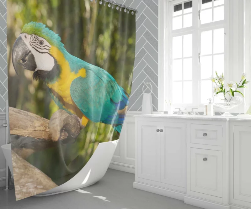 Macaw Tropical Soiree Aerial Fiesta Shower Curtain 1