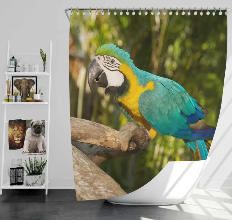 Macaw Tropical Soiree Aerial Fiesta Shower Curtain