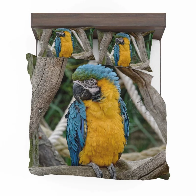 Macaw Vibrant Stance Tropical Splendor Bedding Set 1