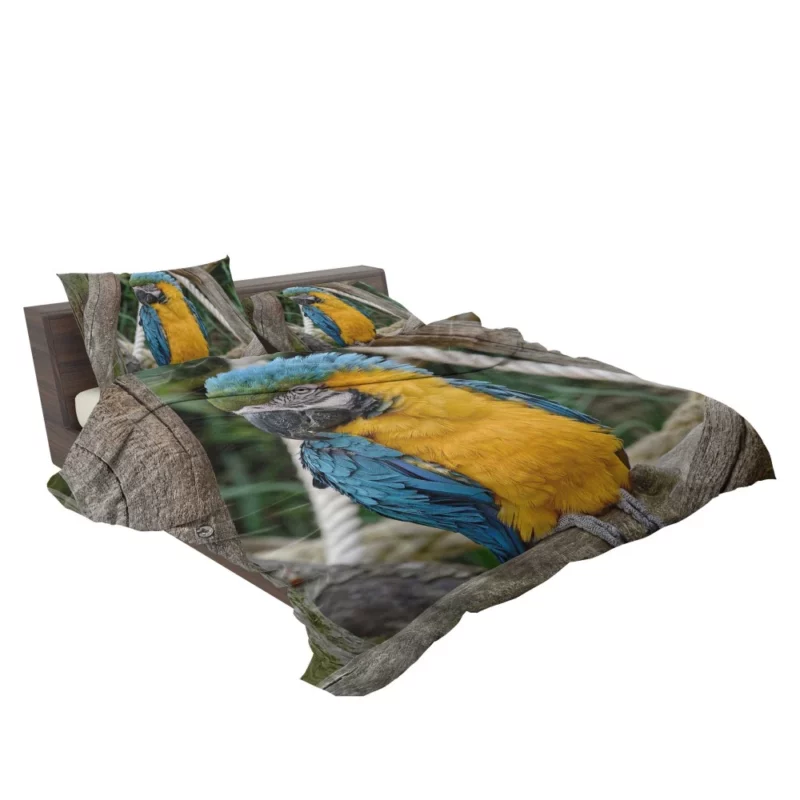 Macaw Vibrant Stance Tropical Splendor Bedding Set 2