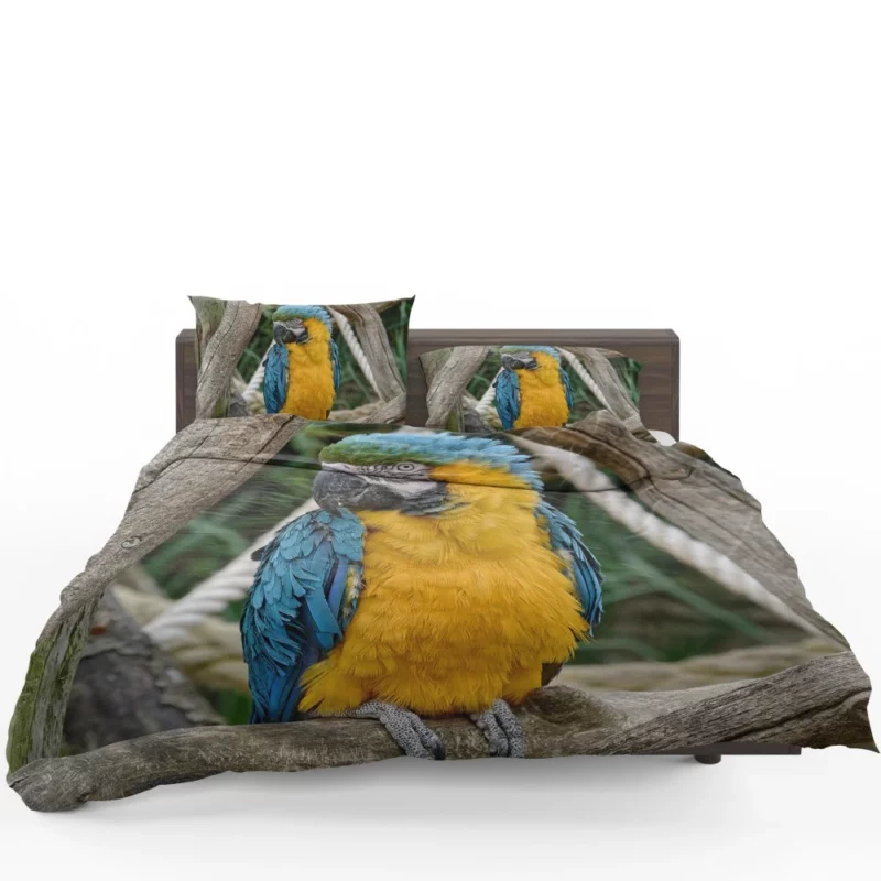 Macaw Vibrant Stance Tropical Splendor Bedding Set