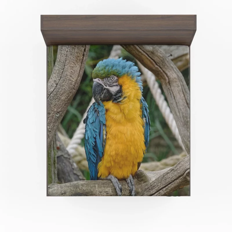 Macaw Vibrant Stance Tropical Splendor Fitted Sheet 1