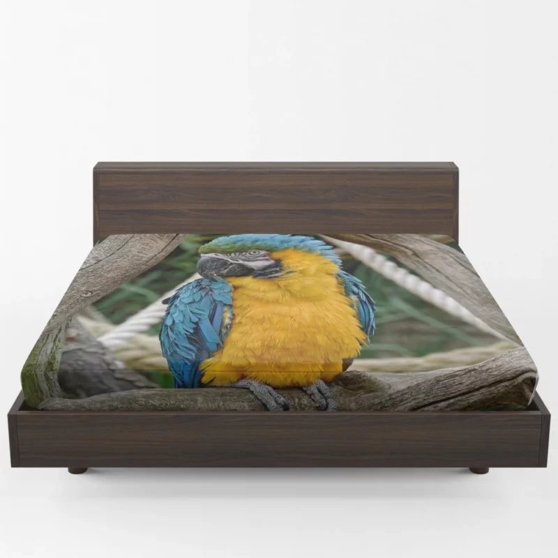 Macaw Vibrant Stance Tropical Splendor Fitted Sheet