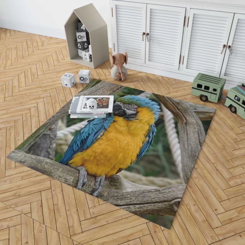 Macaw Vibrant Stance Tropical Splendor Rug 1