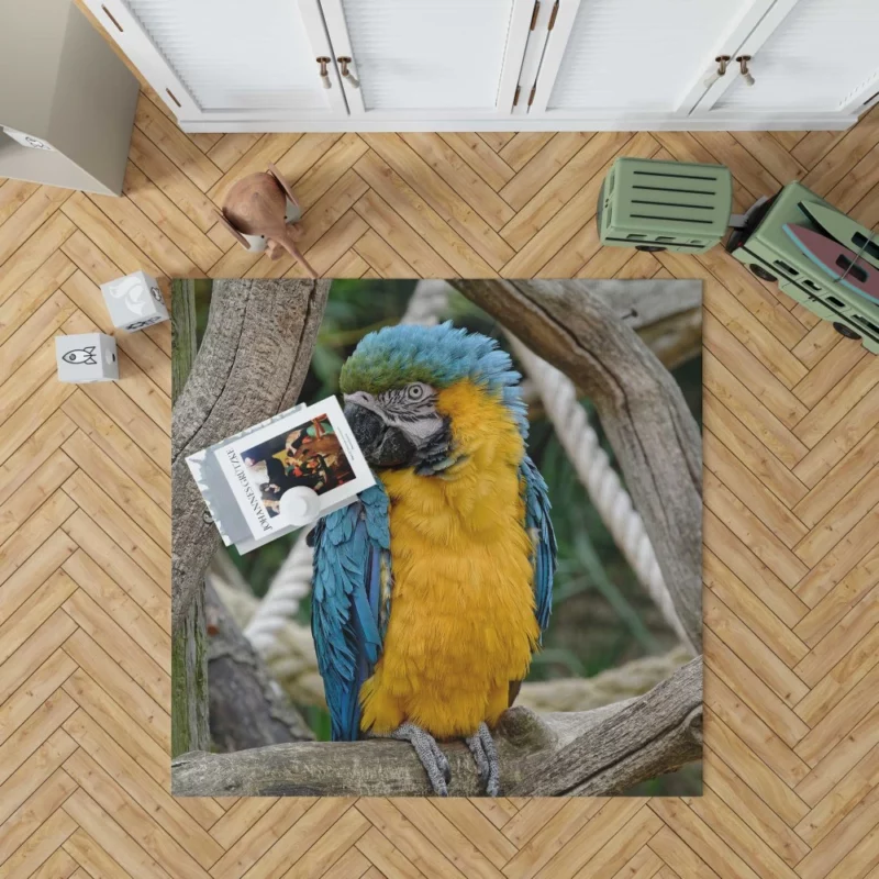 Macaw Vibrant Stance Tropical Splendor Rug