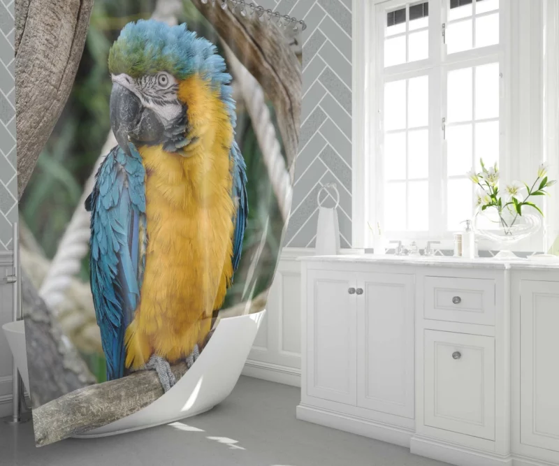 Macaw Vibrant Stance Tropical Splendor Shower Curtain 1