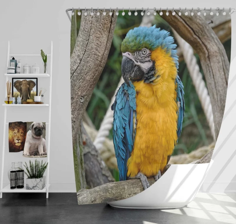 Macaw Vibrant Stance Tropical Splendor Shower Curtain