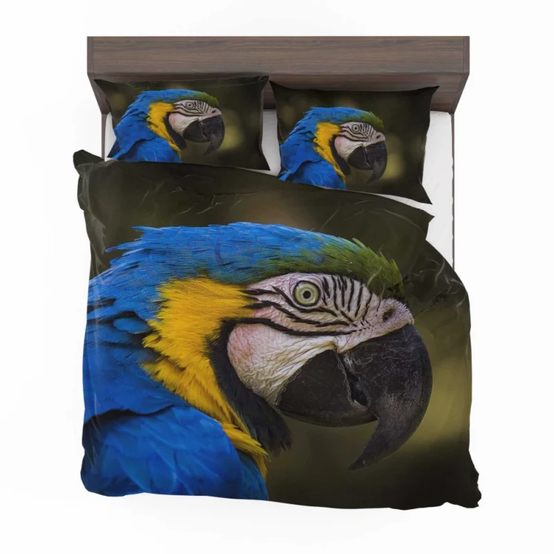 Macaw Vibrant Stare Close-Up Beauty Bedding Set 1