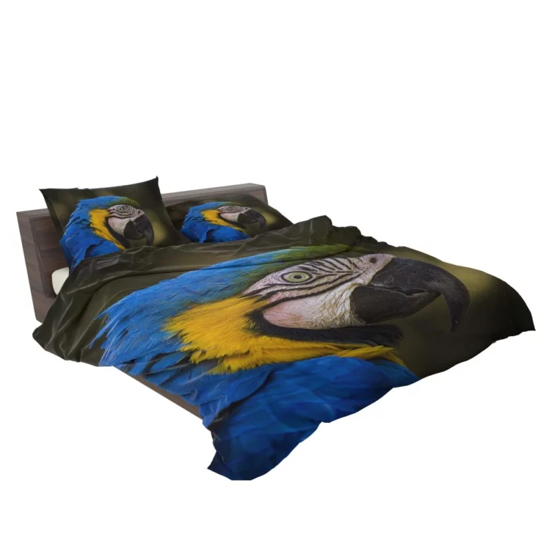 Macaw Vibrant Stare Close-Up Beauty Bedding Set 2