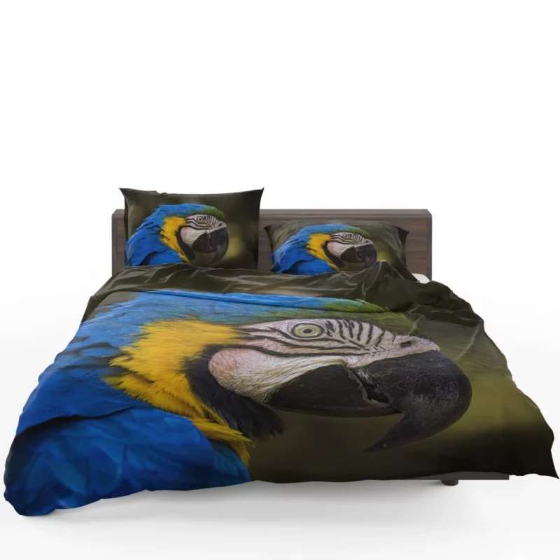 Macaw Vibrant Stare Close-Up Beauty Bedding Set