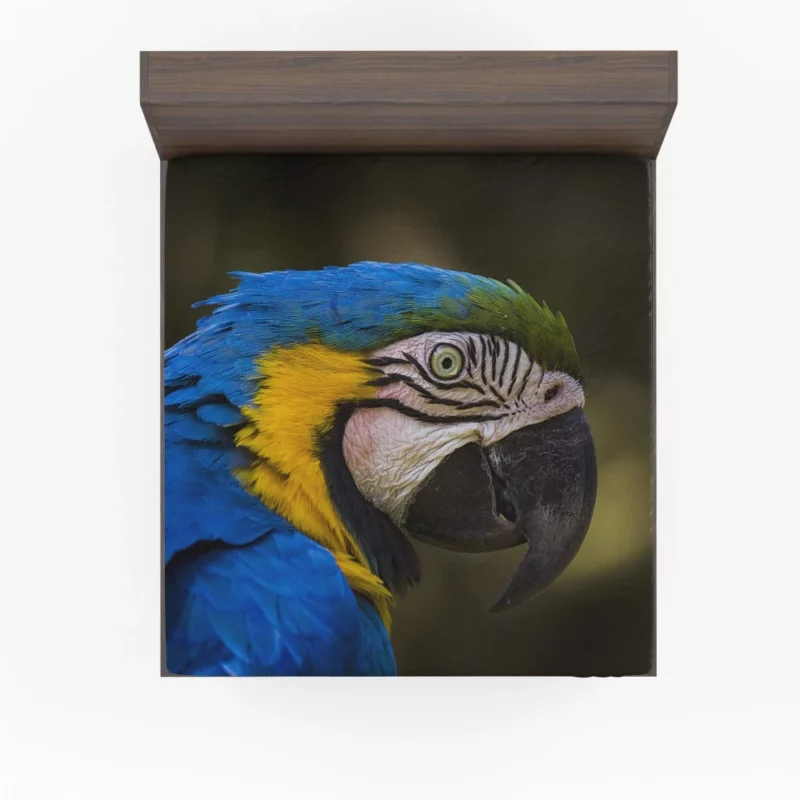 Macaw Vibrant Stare Close-Up Beauty Fitted Sheet 1