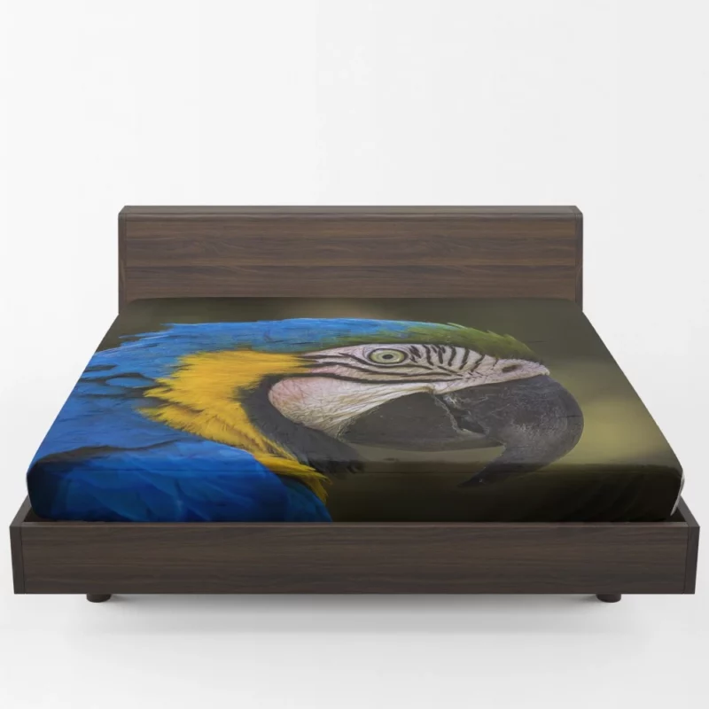 Macaw Vibrant Stare Close-Up Beauty Fitted Sheet