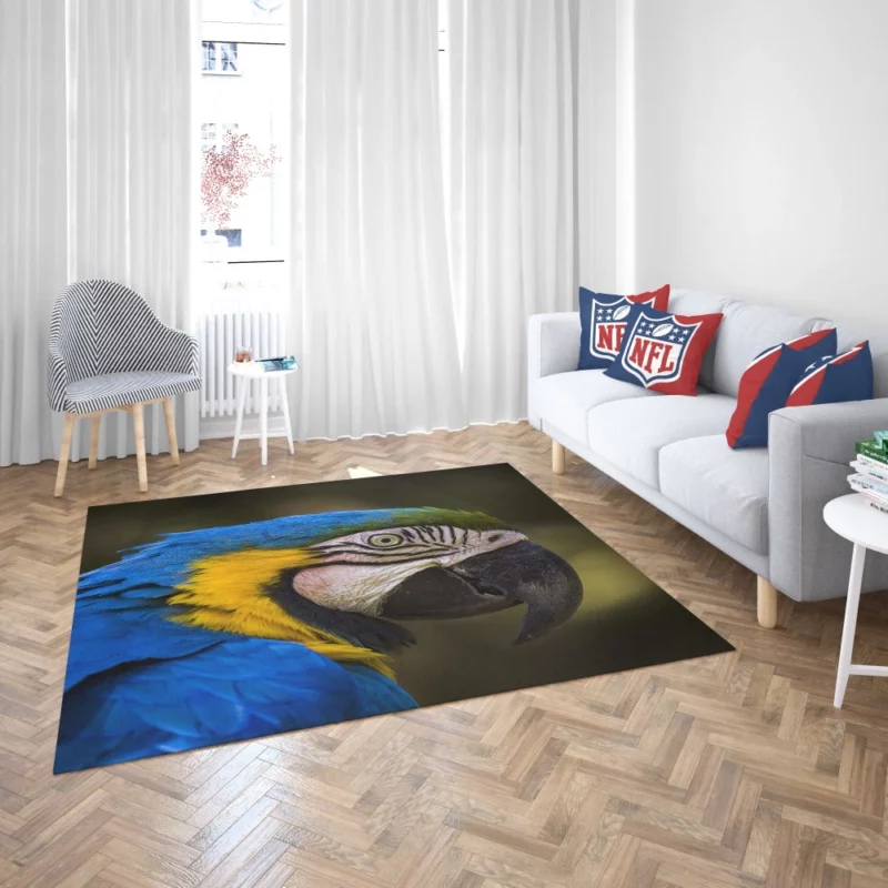 Macaw Vibrant Stare Close-Up Beauty Rug 2