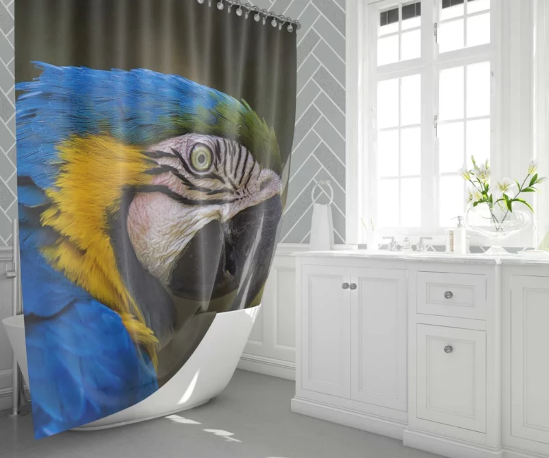 Macaw Vibrant Stare Close-Up Beauty Shower Curtain 1