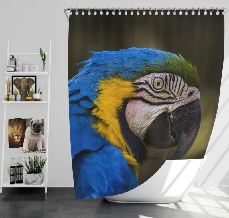 Macaw Vibrant Stare Close-Up Beauty Shower Curtain