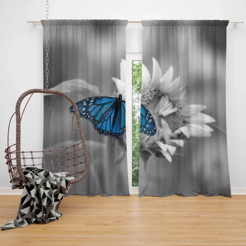 Macro Blue Butterfly Floral Elegance Curtain