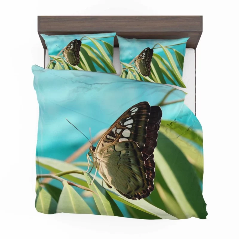 Macro Butterfly Delicate Insect Beauty Bedding Set 1