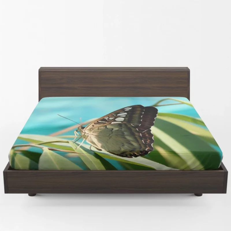 Macro Butterfly Delicate Insect Beauty Fitted Sheet