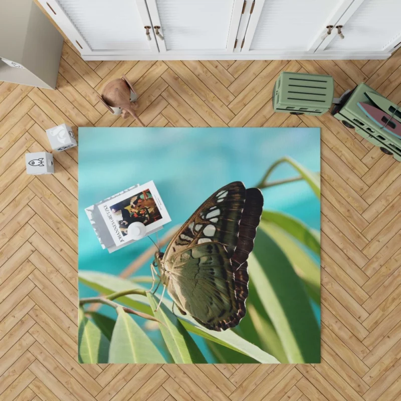 Macro Butterfly Delicate Insect Beauty Rug