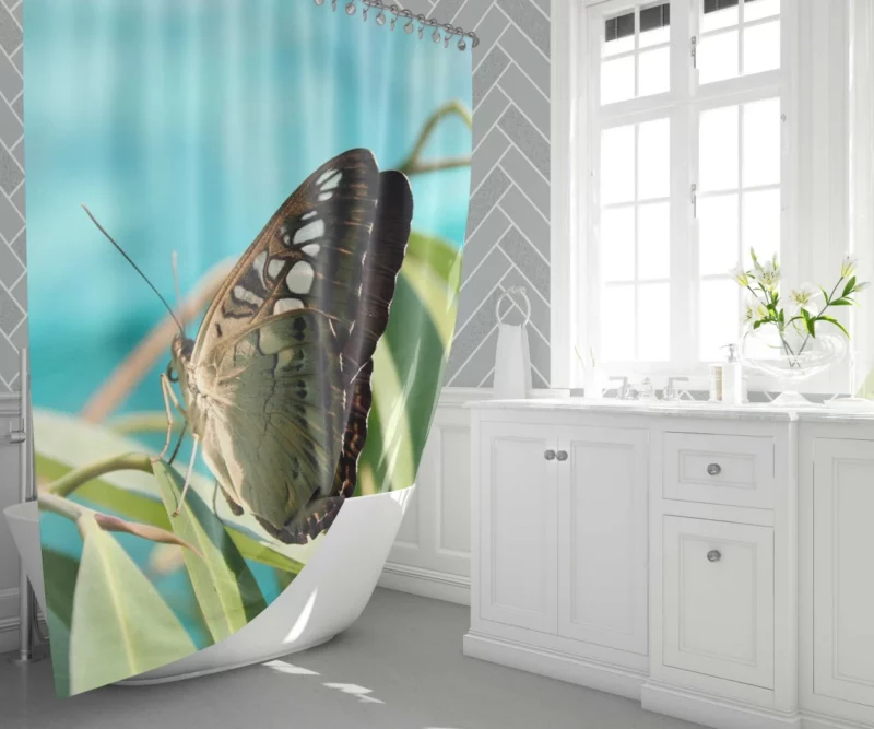 Macro Butterfly Delicate Insect Beauty Shower Curtain 1