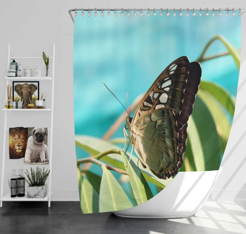 Macro Butterfly Delicate Insect Beauty Shower Curtain