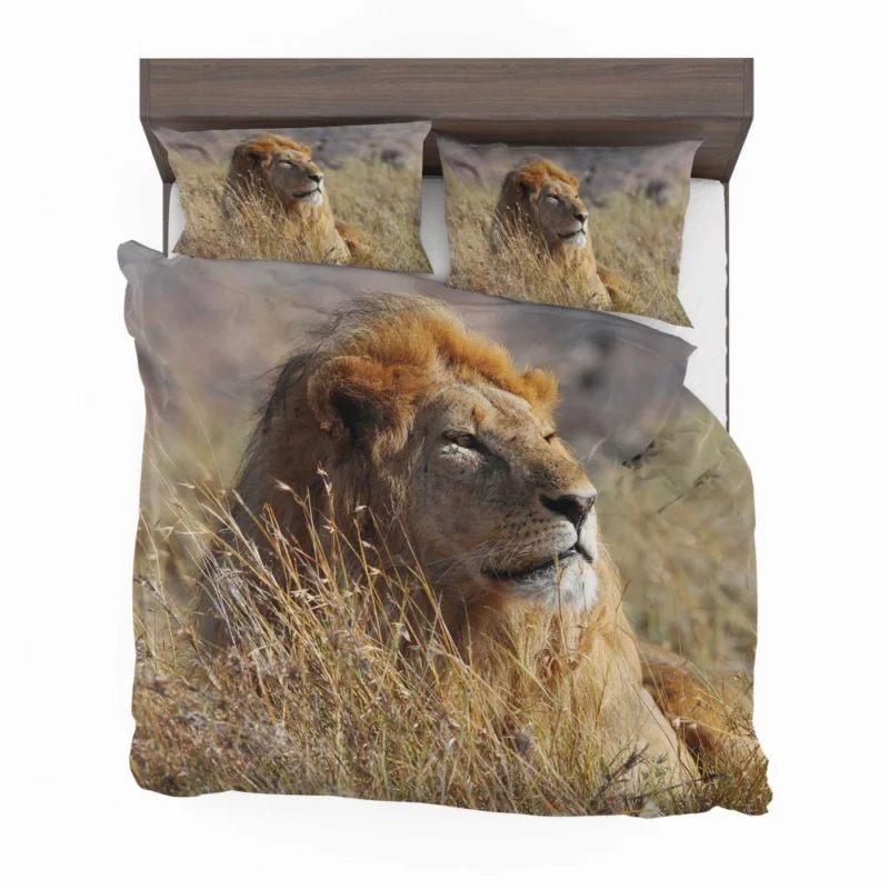 Majestic African Lion in the Wild Bedding Set 1