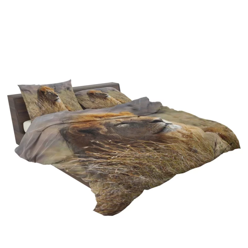 Majestic African Lion in the Wild Bedding Set 2