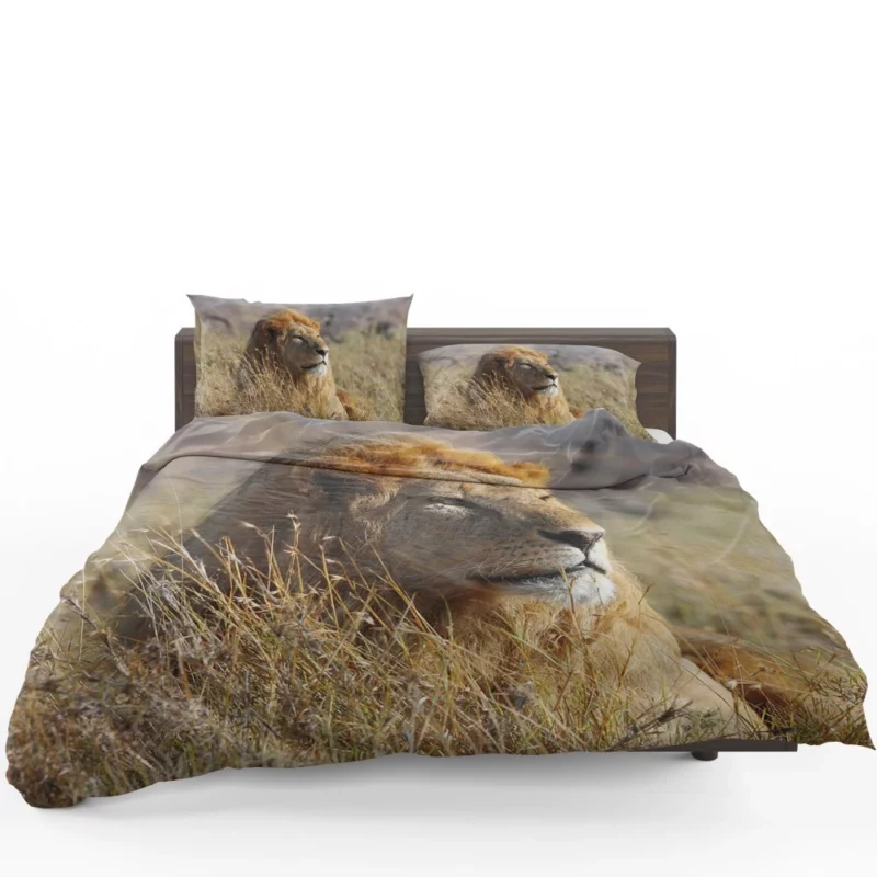 Majestic African Lion in the Wild Bedding Set