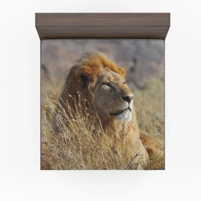 Majestic African Lion in the Wild Fitted Sheet 1