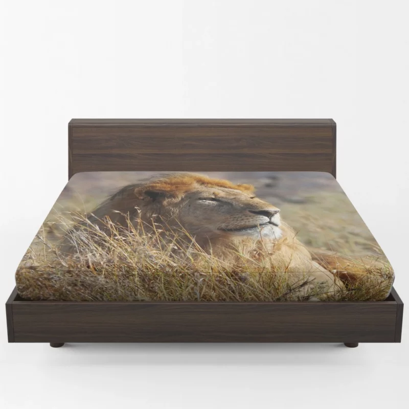 Majestic African Lion in the Wild Fitted Sheet