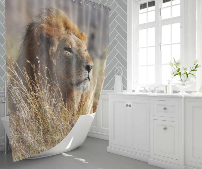 Majestic African Lion in the Wild Shower Curtain 1