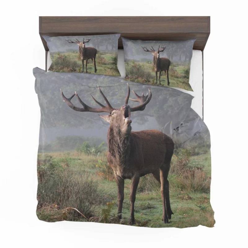 Majestic Buck Stance Wilderness Beauty Bedding Set 1