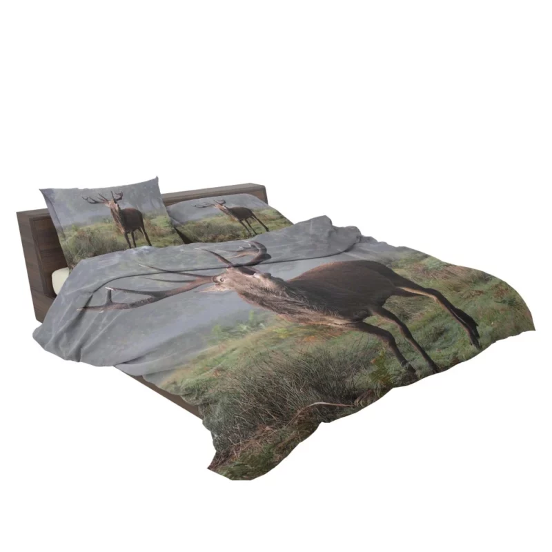 Majestic Buck Stance Wilderness Beauty Bedding Set 2