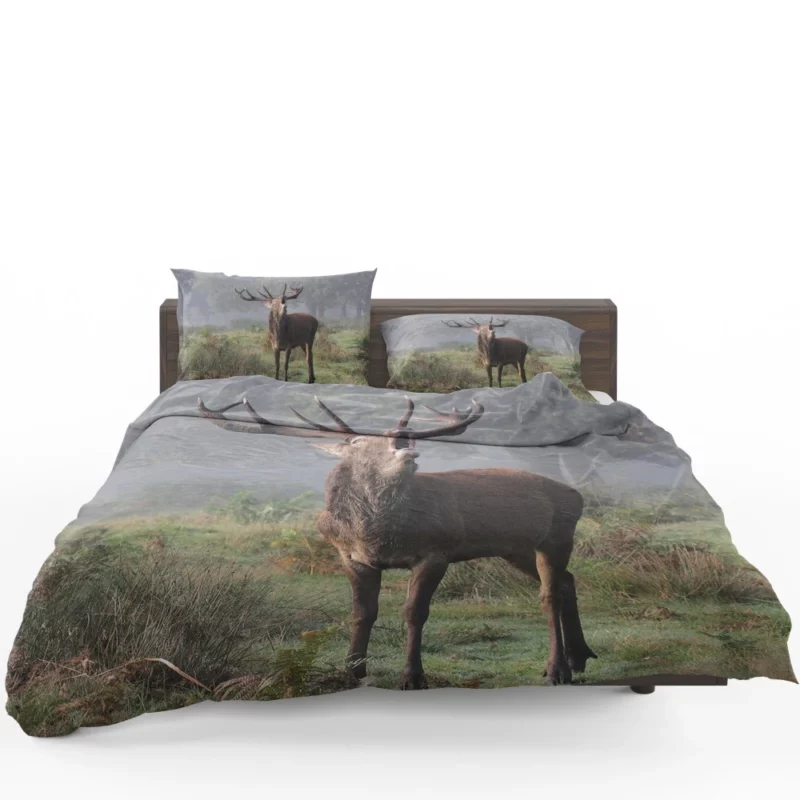 Majestic Buck Stance Wilderness Beauty Bedding Set