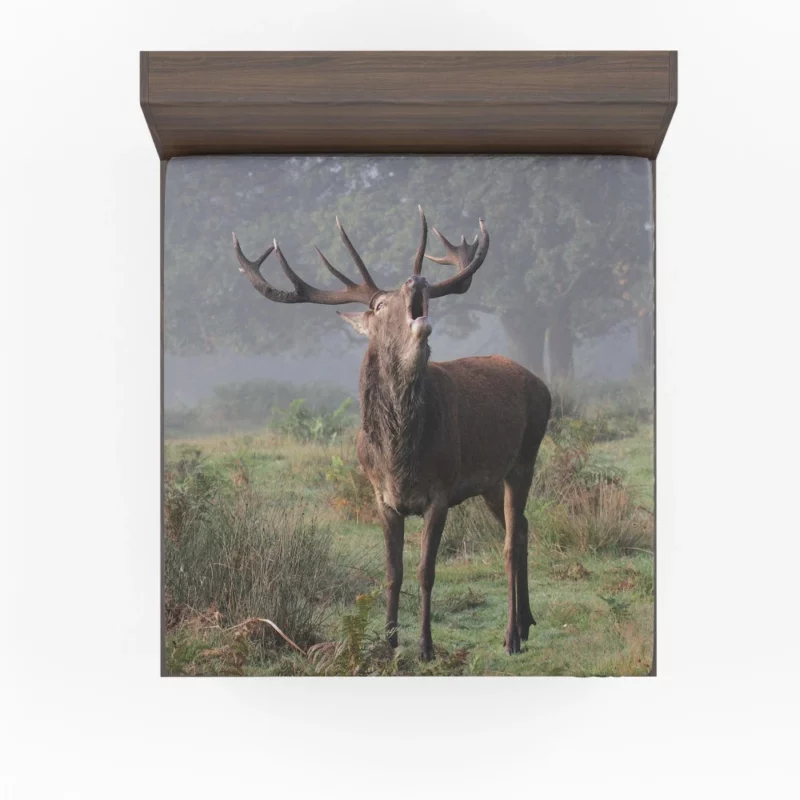 Majestic Buck Stance Wilderness Beauty Fitted Sheet 1