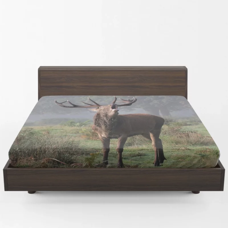 Majestic Buck Stance Wilderness Beauty Fitted Sheet