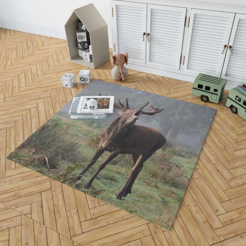 Majestic Buck Stance Wilderness Beauty Rug 1