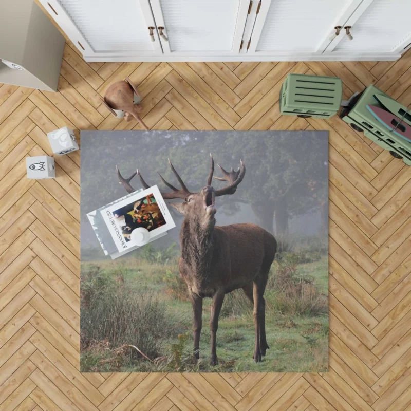 Majestic Buck Stance Wilderness Beauty Rug