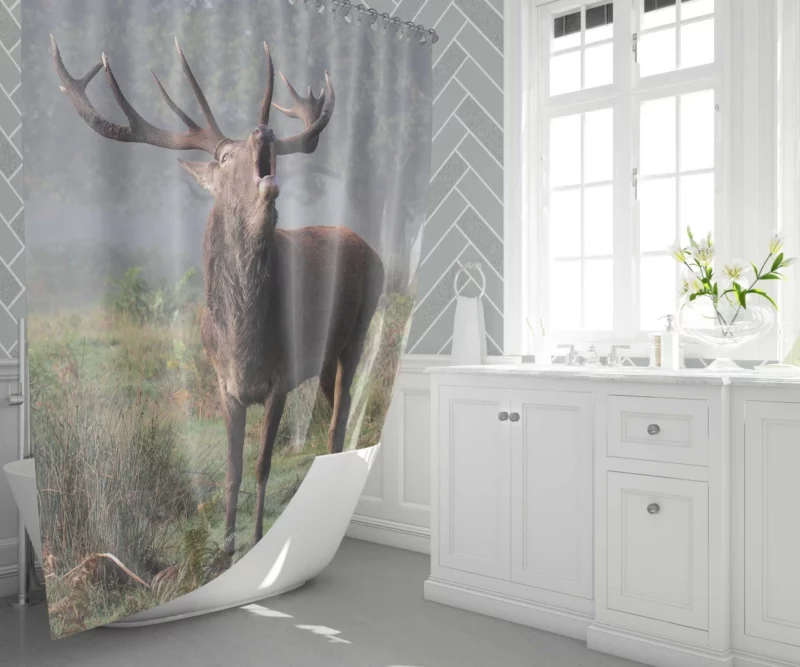 Majestic Buck Stance Wilderness Beauty Shower Curtain 1