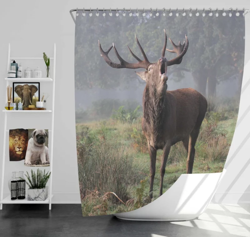 Majestic Buck Stance Wilderness Beauty Shower Curtain