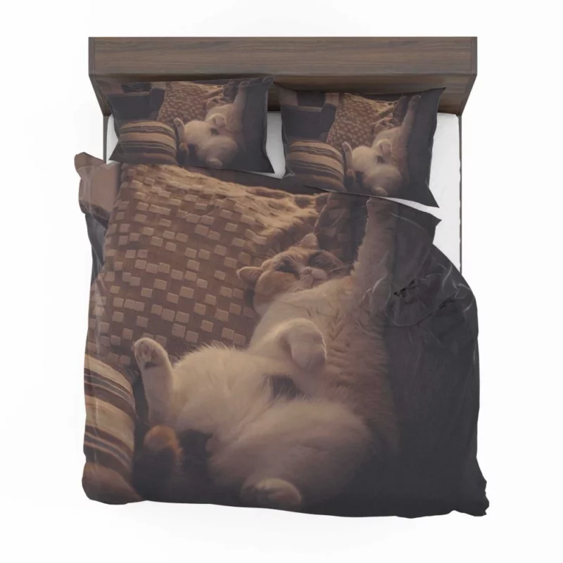 Majestic Cat Stance Bedding Set 1