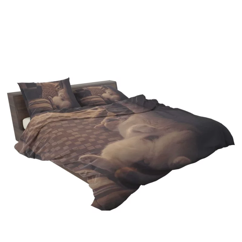 Majestic Cat Stance Bedding Set 2