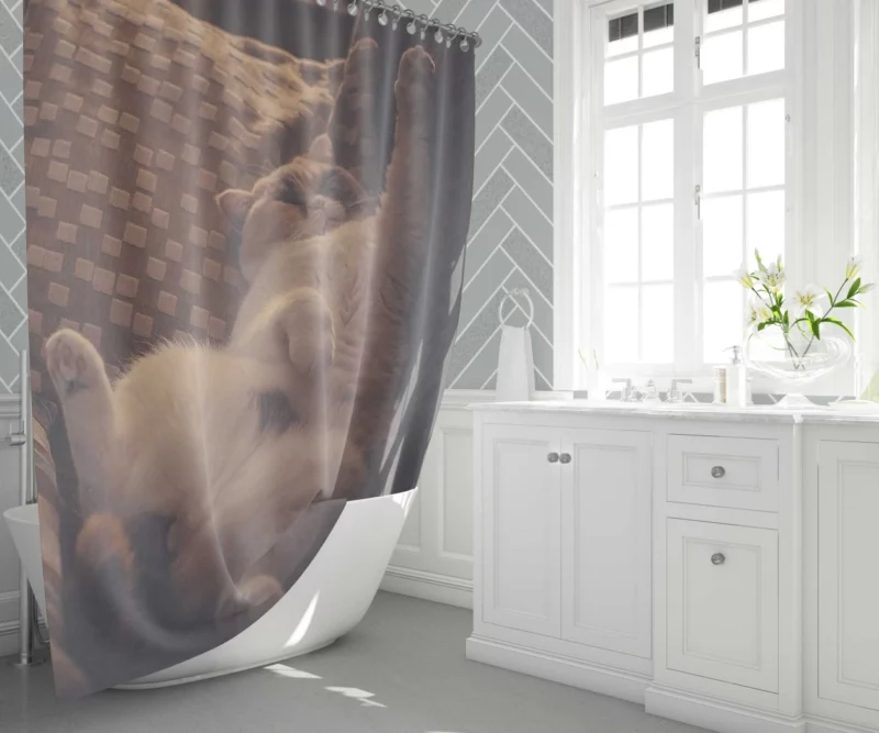 Majestic Cat Stance Shower Curtain 1